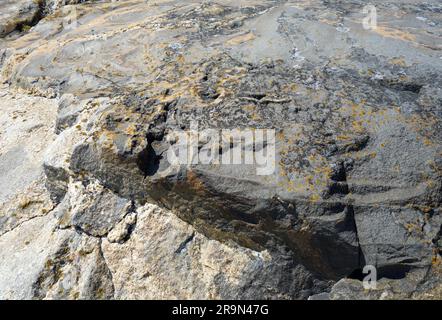 Natürlicher Hintergrund mit Flechten auf Felsen im Archipel Stockfoto