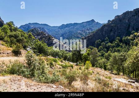 Els Ports Naturpark. Es ist einer der bedeutendsten Naturparks in Katalonien. In Tarragona, Katalonien, Spanien. Stockfoto