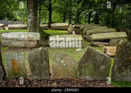 Necrópolis de San Adrián de Argiñeta, in Ermita de San Adrián, Elorrio, Vizcaya, País Vasco, España Stockfoto