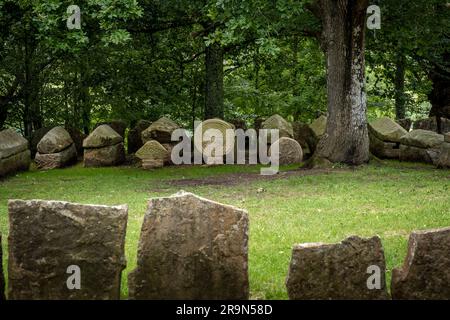 Necrópolis de San Adrián de Argiñeta, in Ermita de San Adrián, Elorrio, Vizcaya, País Vasco, España Stockfoto