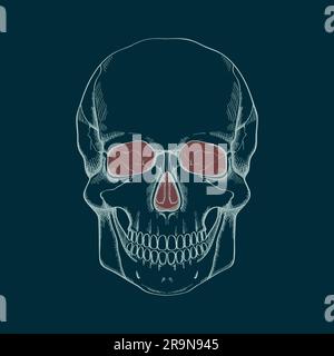 Vektor-Illustration menschlicher Schädel Stock Vektor