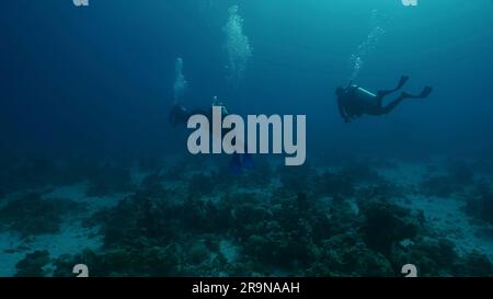 Eine Gruppe von Tauchern schwimmt in den Tiefen des Meeres, Rückblick, Rotes Meer, Ägypten Stockfoto