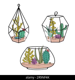 Vektorset mit bunten Kakteen und Sukkulenten in Terrarien. Illustration mit Heimpflanzen im skandinavischen Stil. Stock Vektor