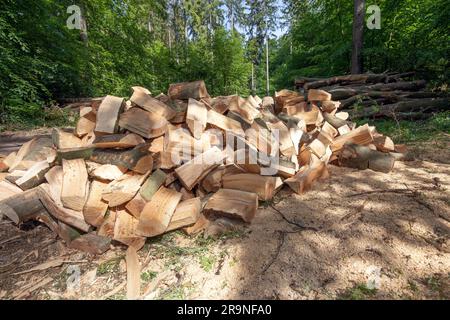 Ein Haufen gehackter Stämme vor einem Haufen Stämme im Wald Stockfoto