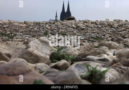 EINGEREICHT am 17. August 2022, Nordrhein-Westfalen, Köln: Kölner Dom, der hinter Steinen im ausgetrockneten Flussbett des Rheins steht. 2022 verließen mehr als eine halbe Million Menschen die katholische Kirche. Wie die Deutsche Bischofskonferenz (DBK) am Mittwoch in Bonn verkündete, verließen 522.821 Menschen die Kirche. Im letzten Rekordjahr 2021 waren es 359 338. Foto: Oliver Berg/dpa Stockfoto