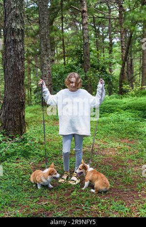 Kleines Mädchen, das mit ihren Corgi-Hunden im Wald spaziert Stockfoto