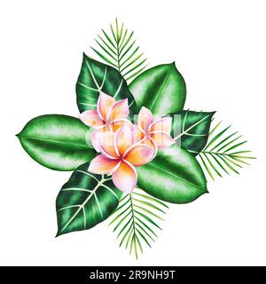 Aquarell realistische Darstellung eines tropischen Bouquet von Plumeria-Blüten mit Monstera und Palmenblättern isoliert auf weißem Hintergrund. Wunderschön botanisch Stockfoto