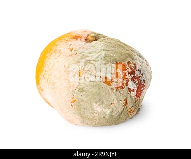 Mandarine mit Schimmelpilz auf weiß isoliert Stockfoto