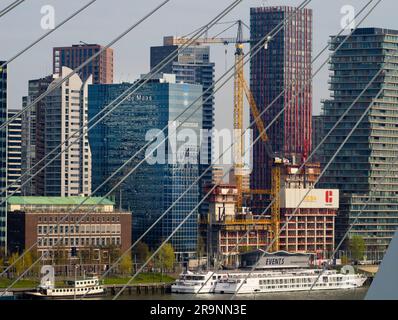 Benannt nach dem großen holländischen Philosophen und Humanisten aus der Renaissance, trägt die wunderschöne neue Hängebrücke von Rotterdam erheblich zur Skyline der Stadt bei Stockfoto