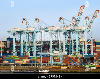 Der Hafen von Zeebrugge ist ein Großcontainer, Massengutfracht, neue Fahrzeuge und ein Passagierfähren-Terminal an der Nordsee. Bearbeitung von über 50 Millionen tonnen Stockfoto
