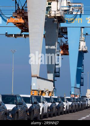 Schlangen von gerade eingetroffenen importierten Autos am Hafen in Haifa, Israel, warten auf Lieferung und Umladung. Wir können auch einige der massiven Gantry sehen Stockfoto