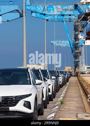 Schlangen von gerade eingetroffenen importierten Autos am Hafen in Haifa, Israel, warten auf Lieferung und Umladung. Wir können auch einige der massiven Gantry sehen Stockfoto