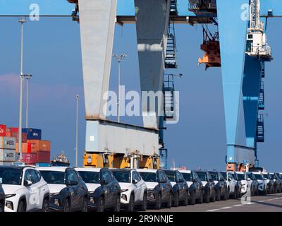 Schlangen von gerade eingetroffenen importierten Autos am Hafen in Haifa, Israel, warten auf Lieferung und Umladung. Wir können auch einige der massiven Gantry sehen Stockfoto