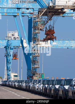 Schlangen von gerade eingetroffenen importierten Autos am Hafen in Haifa, Israel, warten auf Lieferung und Umladung. Wir können auch einige der massiven Gantry sehen Stockfoto