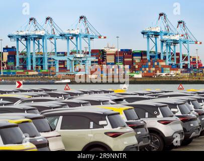 Schlangen von soeben eingetroffenen importierten Autos am Hafen in Zeebrugge, Belgien, warten auf Lieferung und Umladung. Im Hintergrund sehen wir Stapel von Sch Stockfoto