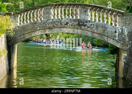 Ruderteams auf der Themse im Iffley Village, direkt am Schloss und stromabwärts von Oxford. Es ist früh an einem Sommermorgen, aber man kann alles sehen Stockfoto