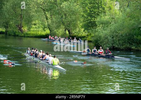 Ruderteams auf der Themse im Iffley Village, direkt am Schloss und stromabwärts von Oxford. Es ist früh an einem Sommermorgen, aber man kann alles sehen Stockfoto