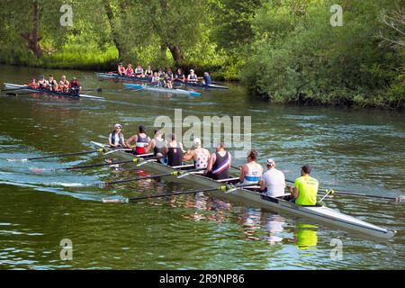 Ruderteams auf der Themse im Iffley Village, direkt am Schloss und stromabwärts von Oxford. Es ist früh an einem Sommermorgen, aber man kann alles sehen Stockfoto