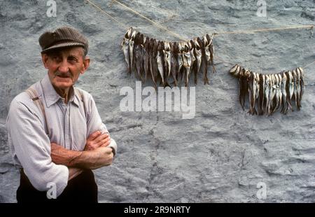 Crofting, ein Fischer, der an seiner Hinterwand rumhängt, trocknet. Und wird dann aufbewahrt und zu einem späteren Zeitpunkt gegessen. Shetlands Festland, Shetland Islands, Schottland, ca. 1979. UK 1970S HOMER SYKES Stockfoto