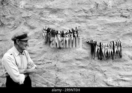 Crofting, ein Fischer, der an seiner Hinterwand rumhängt, trocknet. Und wird dann aufbewahrt und zu einem späteren Zeitpunkt gegessen. Shetlands Festland, Shetland Islands, Schottland, ca. 1979. UK 1970S HOMER SYKES Stockfoto