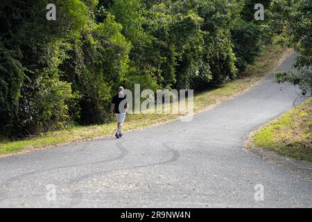 Ein Mann, der allein auf einer Straße im Wald läuft Stockfoto