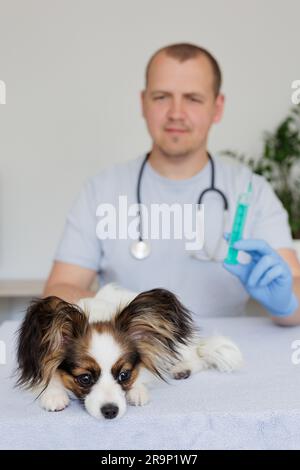 Tierarzt mit Spritze in der Hand und kranker Hund in der Arztpraxis Stockfoto