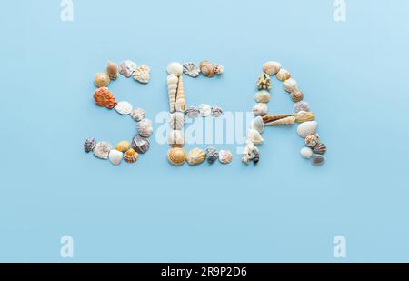 Sea - Wort von Muscheln auf Blau. Stockfoto