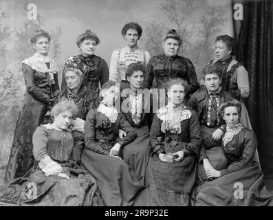 Frauenwahlliga von New South Wales, 1902, hintere Reihe, (L bis R) Frau Jackson (Präsidentin der Redfern-Filiale), Frau Wynn (Präsidentin der Annandale-Filiale), Frau Caldwell (Camperdown), Frau T. Parkes (Präsidentin der Toxteth-Liga), Frau Hansen (Präsidentin der Newtown-Filiale). Mittlere Reihe, Sitzplatz, Frau McDonald (Präsidentin der Zweigstelle Glebe), Frau Annie Golding (Organisatorin der Zweigstelle Vereinigte Staaten), Frau Chapman (Sekretärin der Zweigstelle Redfern), erste Reihe, Sitzplatz, Frau C. Martel (Sekretärin der Zentralen Liga), Frau Belle Golding (Sekretärin der Newtown Br Stockfoto