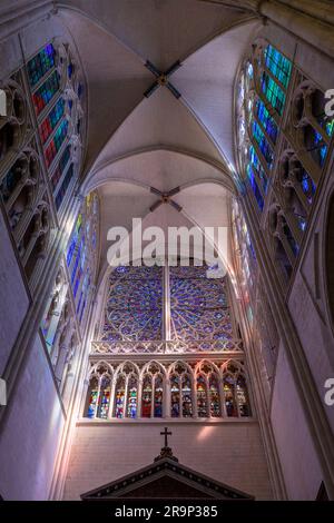 Buntglasfenster in Tours Cathedral, Tours, Loire Valley, Frankreich, Westeuropa Stockfoto