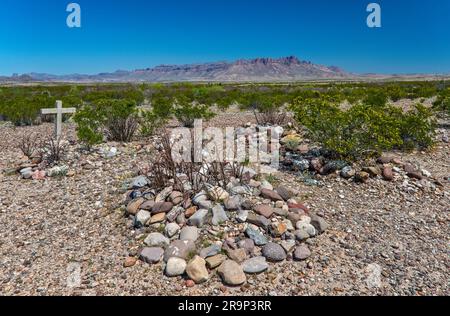 Friedhof auf der Johnson Ranch, River Road, blühender Kreosotenbusch, entfernte Chisos Mountains, Chihuahuan-Wüste, Big Bend-Nationalpark, Texas, USA Stockfoto