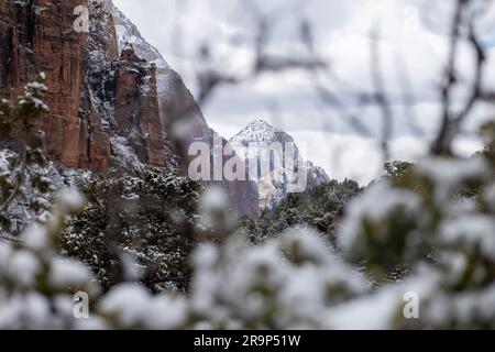 Höhepunkt im Zion-Nationalpark im Winter Stockfoto