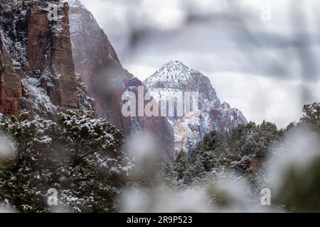 Höhepunkt im Zion-Nationalpark im Winter Stockfoto