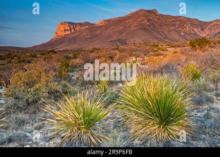 Guadalupe Mountains bei Sonnenaufgang, El Capitan auf der linken Seite, Südstaaten im Vordergrund, Guadalupe Mountains-Nationalpark, Texas, USA Stockfoto