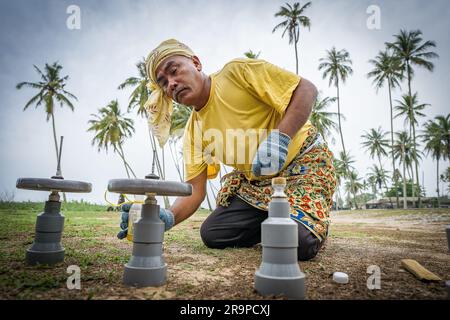 Gasing ist ein Begriff, der sich sowohl auf das malaiische Spinning-Top als auch auf das Spiel des Spinning bezieht. Stockfoto