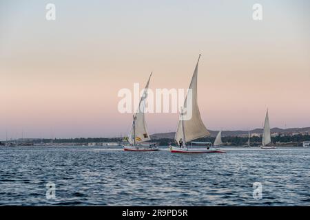 Felukenboote auf dem Nil bei Sonnenuntergang Stockfoto