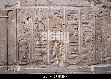 Ägyptische Hieroglyphen an einer Wand Stockfoto