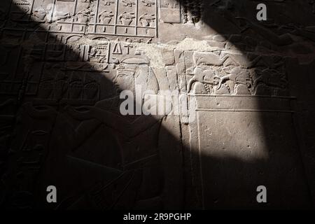 Ägyptische Hieroglyphen an einer Wand Stockfoto