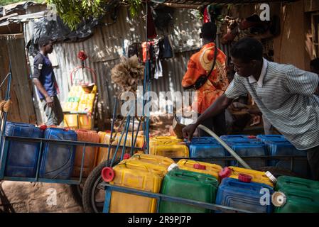 Nicolas Remene / Le Pictorium - Zugang zu Trinkwasser und Standrohren in Niamey, Niger - 28/4/2020 - Niger / Niamey / Niamey - Ein junger Nigerianer überträgt Wasser von einem Kanister in einen anderen, um eine Familie in Niamey zu versorgen, 28. April 2020. In Niamey, Niger, herrscht in der heißen Jahreszeit zwischen Anfang März und Ende Mai in vielen Stadtvierteln mehrmals täglich Wassermangel, und in einigen Randbezirken kann dieser Mangel mehrere Tage andauern. Das macht es für Bewohner sehr schwierig, ihr Getränk zu bekommen Stockfoto