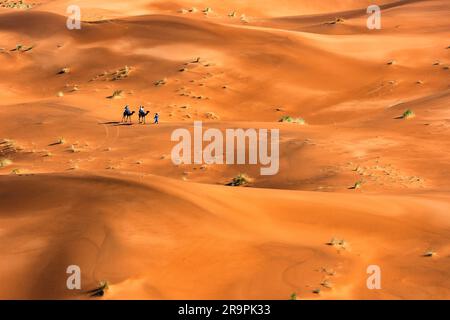 Dünen mit Kamelen nähern sich der Oase. Merzouga ist ein kleines Dorf im Südosten Marokkos, etwa 35km km (22 Meilen) südöstlich von Rissani Stockfoto