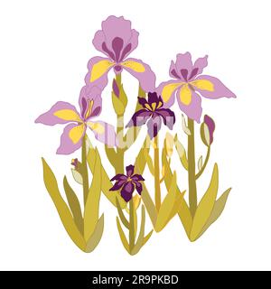 Farbenfroher Blütenstrauß von Iris, isoliert auf weißem Hintergrund. Stock Vektor