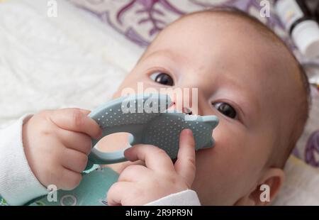 Ein kleiner Junge spielt mit einem Beißring während des Ausbruchs der ersten Zähne. Juckreiz und Zahnfleischschmerzen am ersten Zahn. Stockfoto