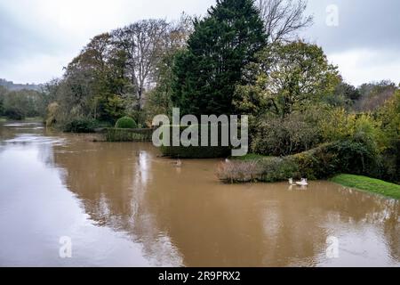 Die Gärten werden überflutet, wenn der Wasserstand des Flusses Ouse steigt, Lewes, East Sussex, Großbritannien. Stockfoto