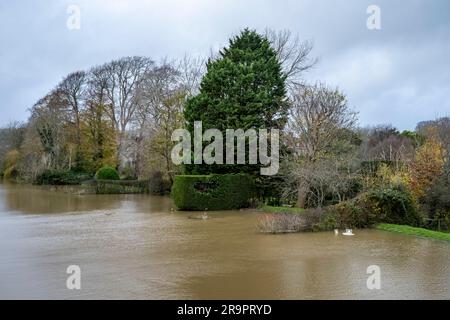 Die Gärten werden überflutet, wenn der Wasserstand des Flusses Ouse steigt, Lewes, East Sussex, Großbritannien. Stockfoto