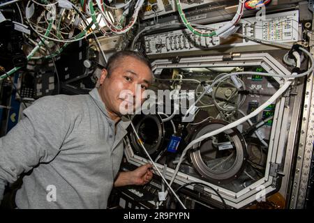 . Iss068e029939 (15. Dezember 2022) - Expedition 68 Flight Engineer Koichi Wakata von der Japan Aerospace Exploration Agency (JAXA) führt Forschungsarbeiten innerhalb der Microgravity Science Glovebox (MSG) des Labormoduls Destiny durch. Wakata tauschte Proben im MSG für ein Experiment der Raumphysik, das ein passives Kühlsystem für elektronische Geräte in Mikroschwerkraft demonstrierte. Stockfoto