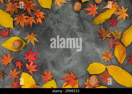 Herbstkonzept für Thanksgiving. Helle Blätter und Nüsse auf dunklem Hintergrund fallen lassen. Flach liegend, Draufsicht Stockfoto