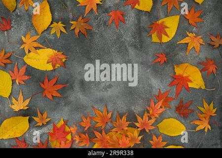 Herbstkonzept für Thanksgiving. Herbstliche Ahornblätter auf dunklem Hintergrund. Flach liegend, Draufsicht Stockfoto