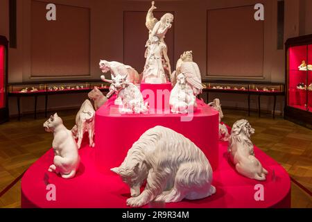 Porzellanmuseum in der Porzellanstiftung Meissen Stockfoto