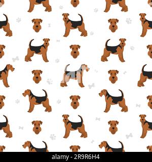 Airedale Terrier alle Farben nahtloses Muster. Verschiedene Mantelfarben eingestellt. Vektordarstellung Stock Vektor