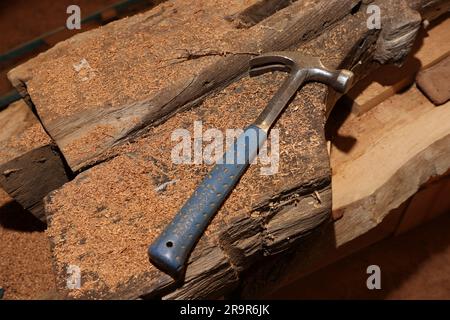 Allgemeine Ansichten des Weald & Downland Living Museum in Singleton, Chichester, West Sussex, Großbritannien. Stockfoto