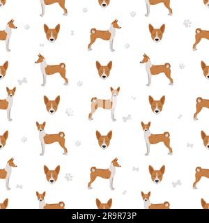 Basenji alle Farben nahtloses Muster. Verschiedene Fellfarben und Posen eingestellt. Vektorgrafik Stock Vektor
